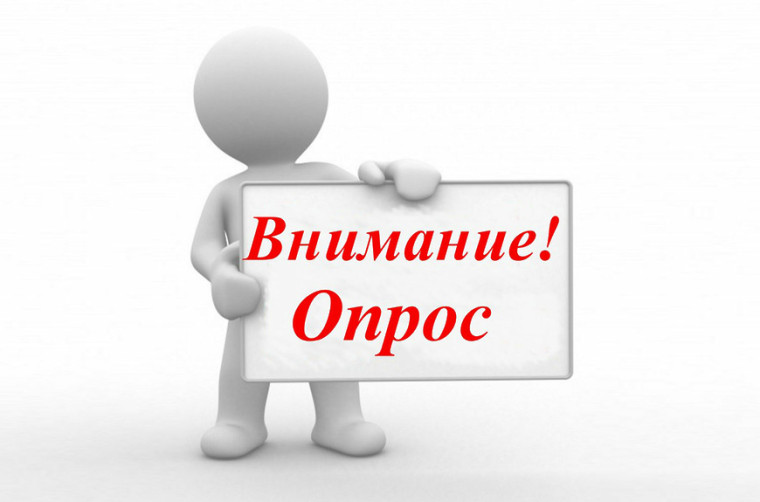 онлайн-опрос участников образовательных отношений по вопросам организации, проведения и проверки ВПР.