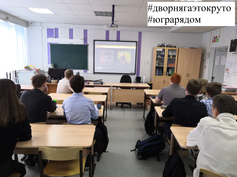 Зоозащитная акция «сНежный пес».